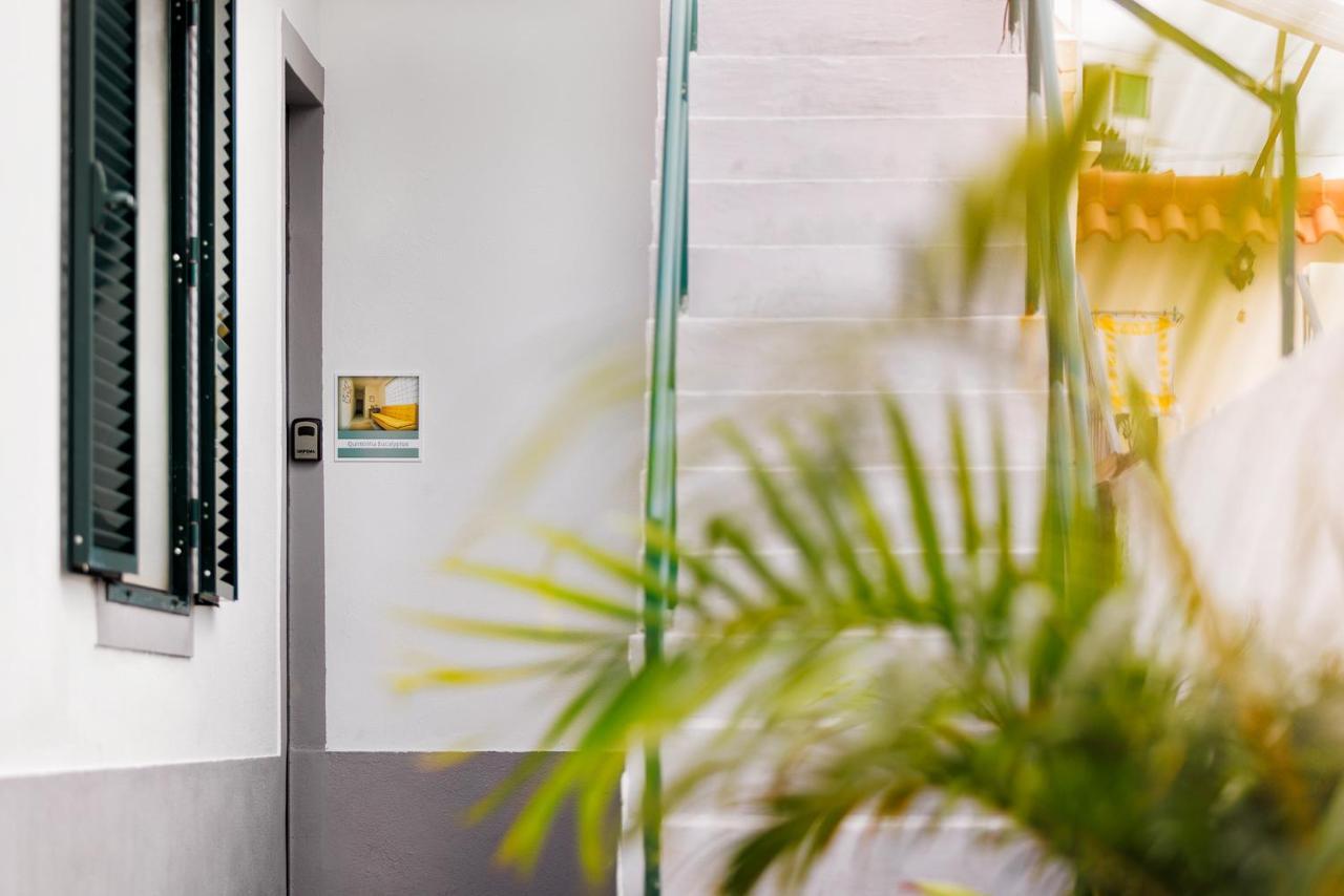 Quintinha Tropical - Panoramic Gateway To Madeira Hotel Funchal  Exterior photo